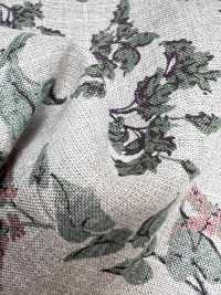 7027-720-2 100% Lino Loomstate Angel Soft Leaf Fruit[Fabrica Textil] HOKKOH Subfoto