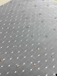 HP-5098-1 Dot Dechine Star[Textil / Tela] HOKKOH Más fotos