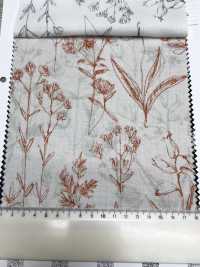 7027-500-3 50 Flores De Voile Bordadas[Fabrica Textil] HOKKOH Subfoto
