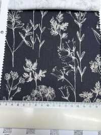 7027-500-3 50 Flores De Voile Bordadas[Fabrica Textil] HOKKOH Subfoto