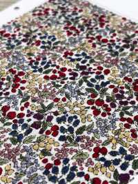 7027-618-1 60 Césped 9088 Patrón De Bayas[Fabrica Textil] HOKKOH Subfoto