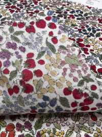 7027-618-1 60 Césped 9088 Patrón De Bayas[Fabrica Textil] HOKKOH Subfoto