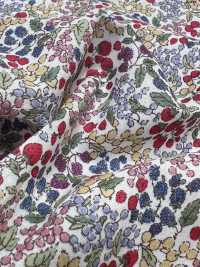 7027-618-1 60 Césped 9088 Patrón De Bayas[Fabrica Textil] HOKKOH Subfoto