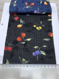 7027-630-5 80 Frutas Milagrosas Para Césped[Textil / Tela] HOKKOH Más fotos