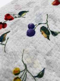 7027-630-5 80 Frutas Milagrosas Para Césped[Textil / Tela] HOKKOH Más fotos
