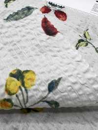 7027-630-5 80 Frutas Milagrosas Para Césped[Textil / Tela] HOKKOH Más fotos