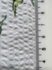 7027-630-5 80 Frutas Milagrosas Para Césped[Textil / Tela] HOKKOH Más fotos