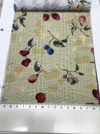 7027-630-5 80 Frutas Milagrosas Para Césped[Textil / Tela] HOKKOH Más fotos