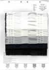 7027-636-2 Batista organza con raya gofrada 80