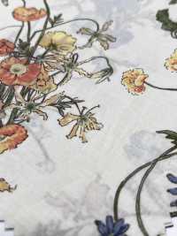 7027-640-5 80 Jardín Botánico[Fabrica Textil] HOKKOH Subfoto