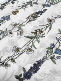 3027-650-1 60 Rayas Florales Para Césped[Fabrica Textil] HOKKOH Subfoto