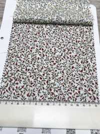 3027-650-6 60 Flores Pequeñas Para Césped[Fabrica Textil] HOKKOH Subfoto