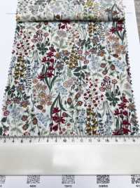 3027-650-12 60 Flores Pequeñas Para Césped[Fabrica Textil] HOKKOH Subfoto