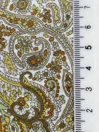 3027-650-13 60 Césped Paisley[Fabrica Textil] HOKKOH Subfoto
