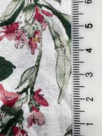 4027-660-5 60 Flores De Acuarela Para Césped[Fabrica Textil] HOKKOH Subfoto