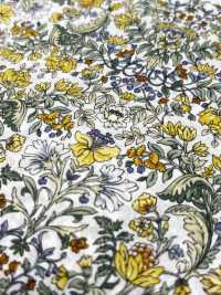 4027-670-3 Patrón Botánico De Laclaw[Fabrica Textil] HOKKOH Subfoto