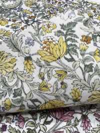 4027-670-3 Patrón Botánico De Laclaw[Fabrica Textil] HOKKOH Subfoto