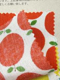 850612 Algodón Sin Blanquear De Corte Recto Con Bolsillo Pequeño "Rindo"[Fabrica Textil] VANCET Subfoto