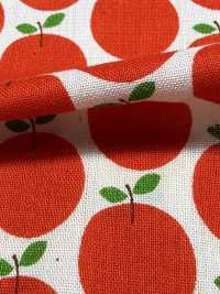 850612 Algodón Sin Blanquear De Corte Recto Con Bolsillo Pequeño "Rindo"[Fabrica Textil] VANCET Subfoto