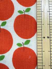 850612 Algodón Sin Blanquear De Corte Recto Con Bolsillo Pequeño "Rindo"[Fabrica Textil] VANCET Subfoto