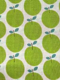 850612 Algodón Sin Blanquear De Corte Recto Con Bolsillo Pequeño "Rindo"[Fabrica Textil] VANCET Subfoto