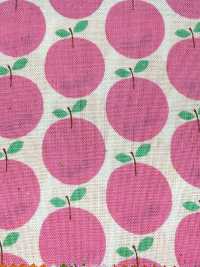 850612 Algodón Sin Blanquear De Corte Recto Con Bolsillo Pequeño "Rindo"[Fabrica Textil] VANCET Subfoto