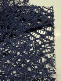 JL1951 Encaje Esmerilado De Ancho Ancho[Fabrica Textil] Suncorona Oda Subfoto