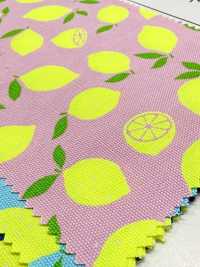 AP65103 Oxford Estampado Fluorescente (Rollo)[Textil / Tela] COSMO TEXTILE Más fotos