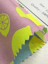AP65103 Oxford Estampado Fluorescente (Rollo)[Textil / Tela] COSMO TEXTILE Más fotos