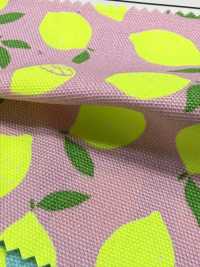 AP65103 Oxford Estampado Fluorescente (Rollo)[Textil / Tela] COSMO TEXTILE Más fotos