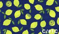 AP65103 Oxford Estampado Fluorescente (Rollo)[Textil / Tela] COSMO TEXTILE Más fotos