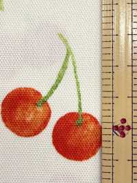 SP2650 Fruits Garden Oxford (rollo)[Textiles / Telas] COSMO TEXTILE Más fotos