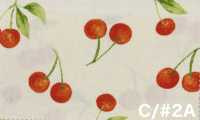 SP2650 Fruits Garden Oxford (rollo)[Textiles / Telas] COSMO TEXTILE Más fotos