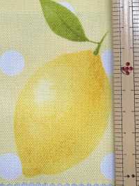 SP2650 Fruits Garden Oxford (rollo)[Textiles / Telas] COSMO TEXTILE Más fotos