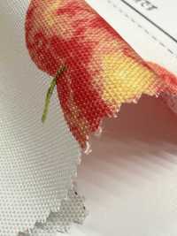 SP2650 Fruits Garden Oxford (rollo)[Textiles / Telas] COSMO TEXTILE Más fotos
