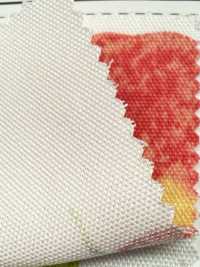 SP2650 Fruits Garden Oxford (rollo)[Textiles / Telas] COSMO TEXTILE Más fotos