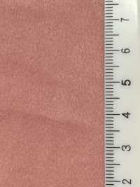 T43558 Ante de poliéster < TORAY Tetoron (Acabado de poliuretano)>[Textil / Tela] Kumoi Beauty Más fotos