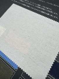 FJ430000 HIYORI Tejido tipo máquina de escribir de algodón/lino Hamakaze Weave[Textiles / Telas] Fujisaki Textile Más fotos