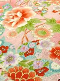850628 Batista floral con patrón japonés dorado, peonía, crisantemo, malvarrosa y tambor[Textiles / Telas] VANCET Más fotos
