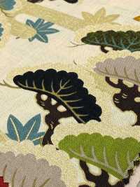 850630 Batista con patrón floral japonés dorado, pino ascendente[Textiles / Telas] VANCET Más fotos