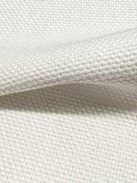 P1311 Fujikinbai Algodón n.º 8 PFD para impresión[Textiles / Telas] Fujikinbai Más fotos
