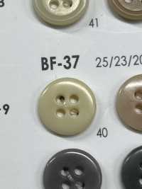 BF37 Botón Con Forma De Nuez IRIS Foto secundaria