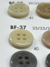 BF37 Botón Con Forma De Nuez IRIS Foto secundaria