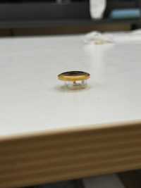 309 Botones Metálicos Para Trajes Y Chaquetas Fabricados En Japón Con Estampado De Tigre En Negro Y Dora[Botón] Subfoto