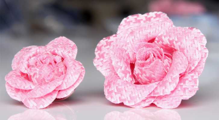 VBTA-13 Prendedor de solapa VANNERS pata de gallo rosa