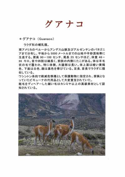 1676 Fukaki Tejido Hecho En Japón Guanaco Blend Cashmere Textile FUKAKI Subfoto