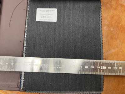 CANONICO Estándar Super110's PERENNIAL Raya sombra gris oscuro