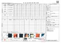 TPT1001 Patrón Repetido Del Forro Estampado Iwami Kagura[Recubrimiento] Subfoto