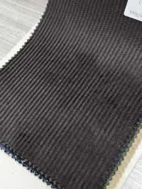 CD5501-CB Pana de 8W C100 marrón carbón[Textil] HOSOI SYOJI Más fotos