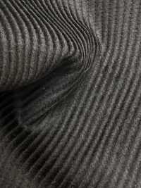 CD5501-CB Pana de 8W C100 marrón carbón[Textil] HOSOI SYOJI Más fotos